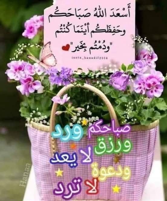 somyh_hmad50632's tweet photo. 🌿 تذوقوا جمال الصباح 🌿
تلمسوا فيه مايثير في قلوبكم الإرتياح 
تنفسوا منه حب الحياة 
وافتحوا نوافذ الأمل والتفاؤل 
فالقليل من التفاؤل كل صباح 
قد يصنع ألف طريق للسعادة ...!!
فصباح الخير للذين ينشرون الجمال في هذا العالم 
وللذين ينثرون أكاليل الورد حول قلوبنا💕🤍
صباحكم جميل https://t.co/wbkaUvwOS2