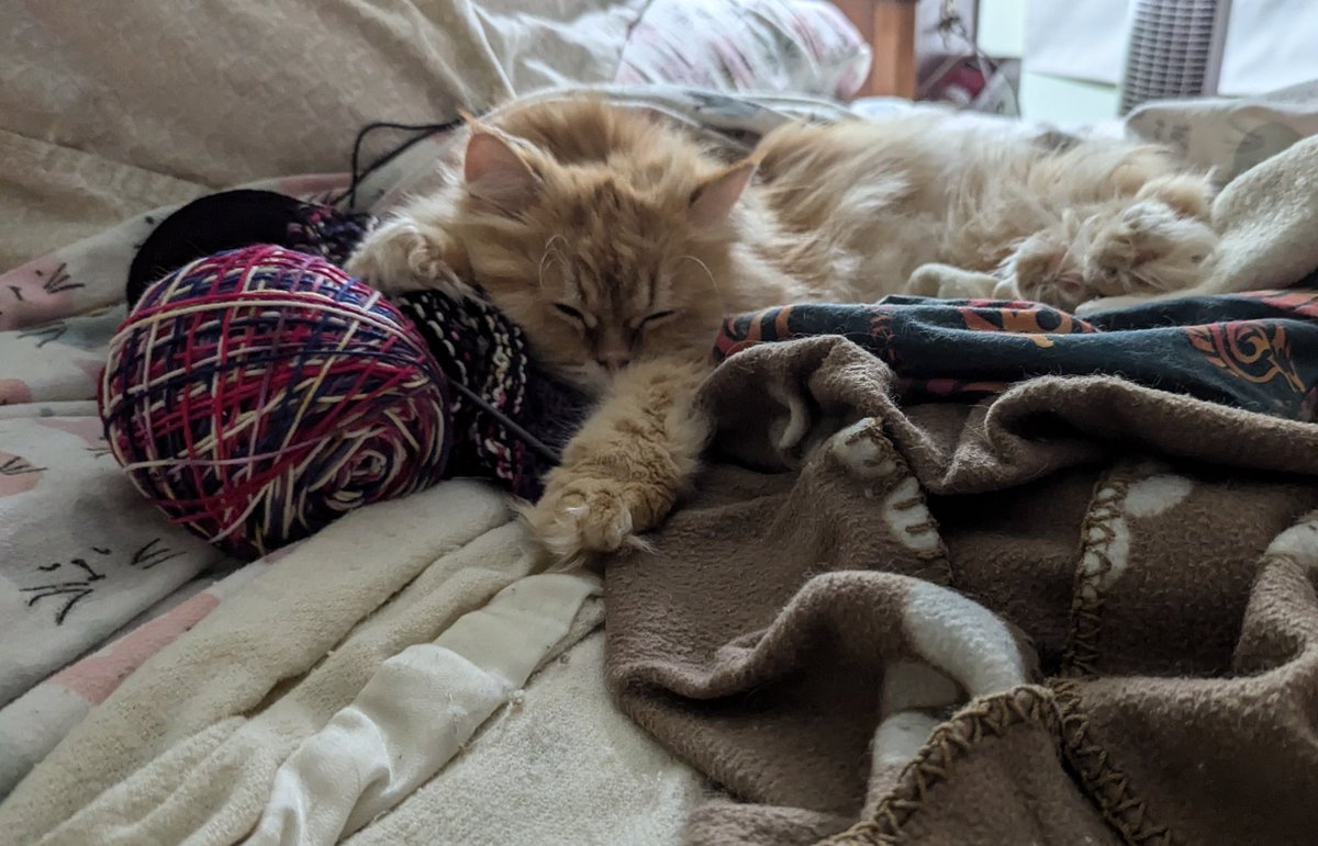 Oaghe, dis Crispmouse knittings am zausting.

(Oh, this Christmas knitting is exhausting.)