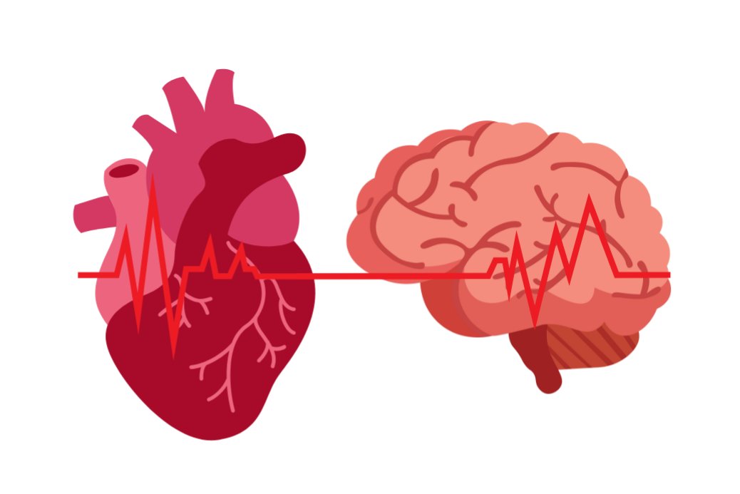 Cardiovascular disease (CVD) is a term that describes the many different diseases and conditions that affect the heart and blood vessels. Coronary heart disease, stroke and heart failure are common forms of CVD. 🧠 

Read more here 👉aihw.gov.au/reports/heart-…
