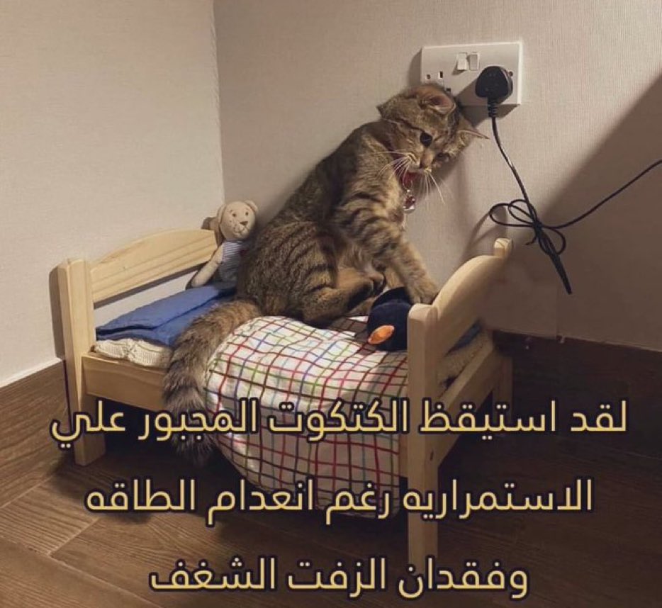 كل يوم