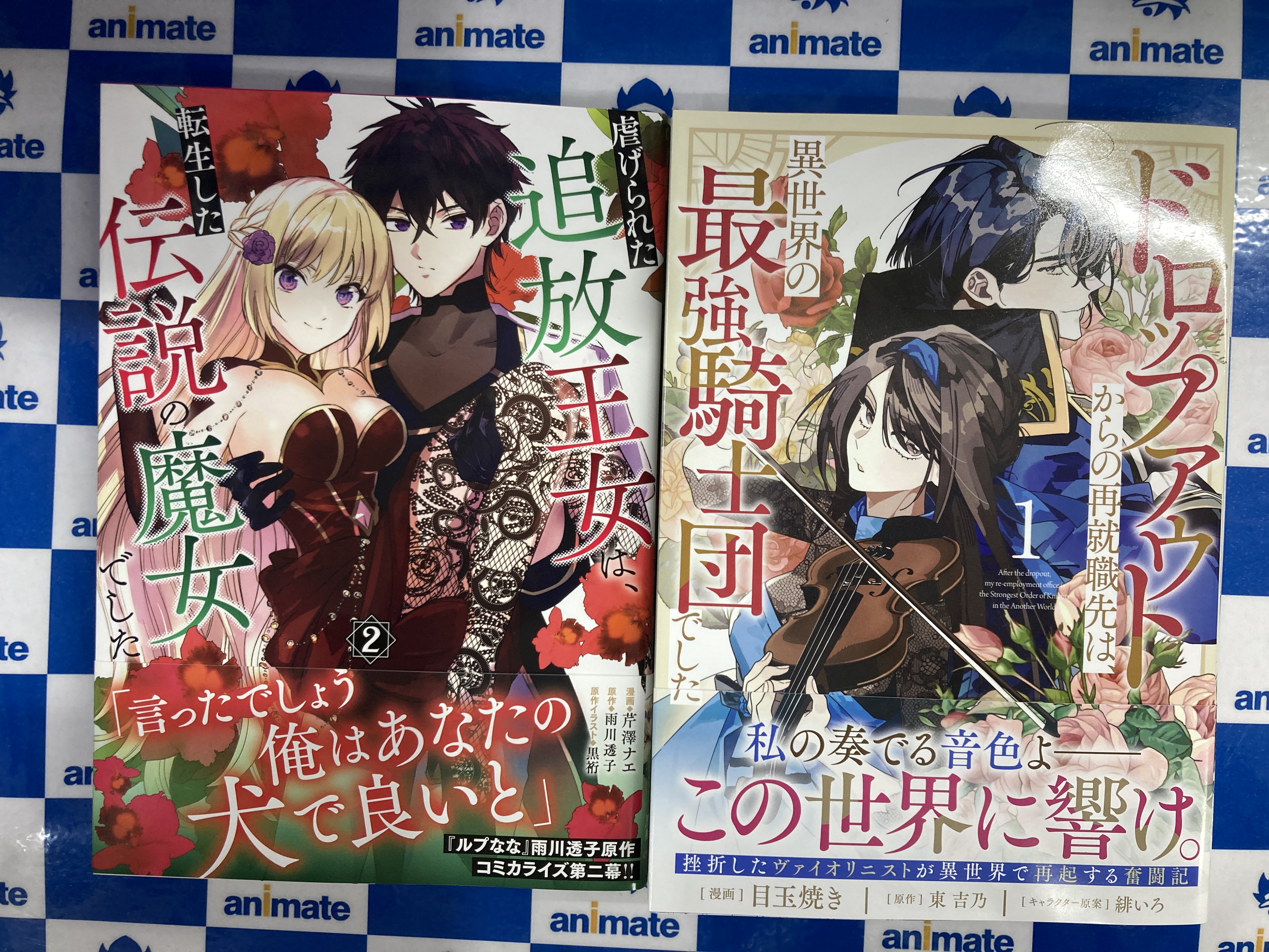 境界迷宮と異界の魔術師 13 - 検索 / X