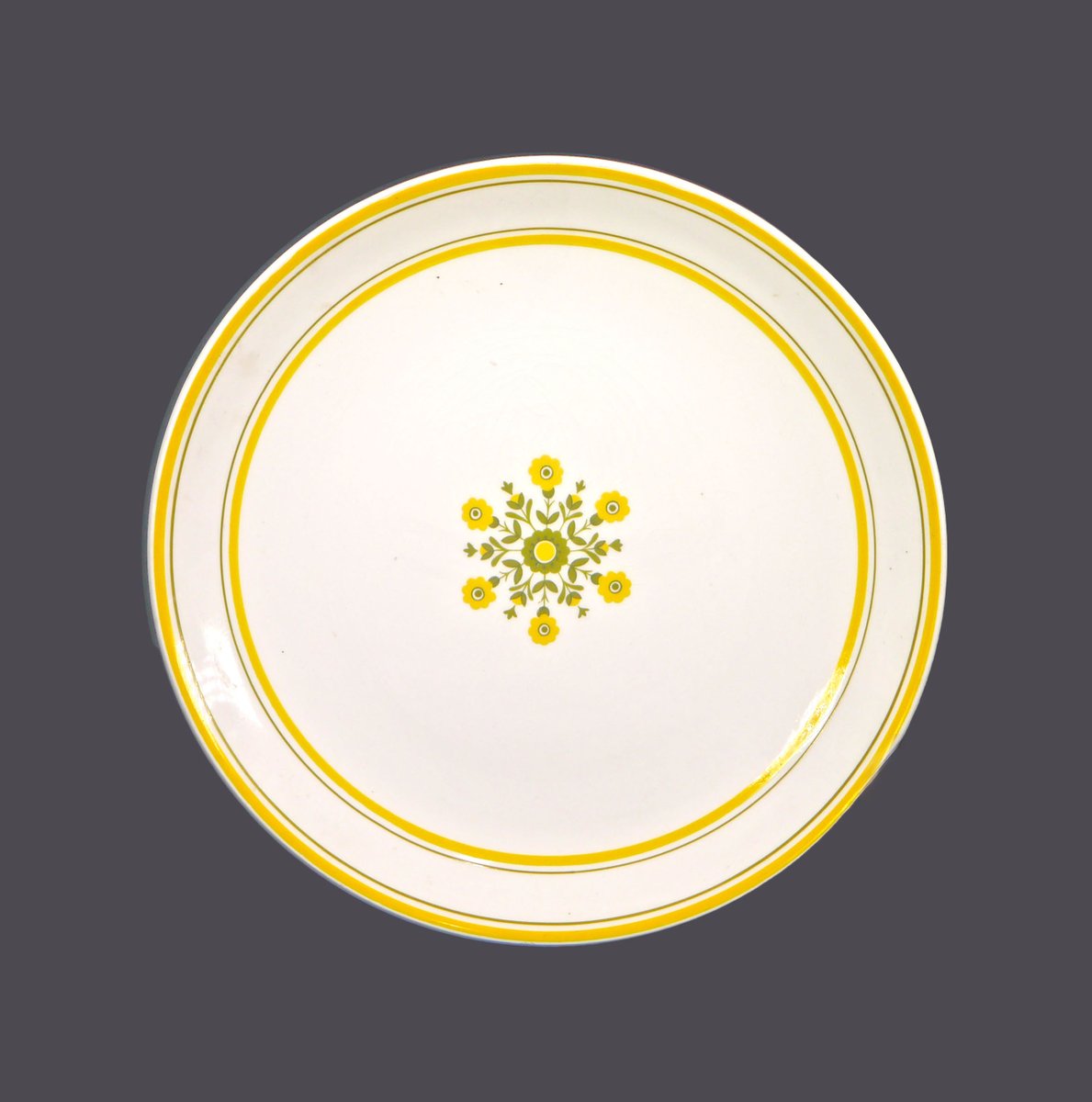 G97816960Girl's tweet photo. Johnson Brothers chop plate | service plate | round platter. Yellow and green flowers, leaves and bands. Made in England. https://t.co/CmkEtSVu6e via @Etsy #BuyfromGroovy #antiques #tableware #tabledecor #1970skitchen #retrotableware #flowerpower #1970sdishes #etsysellers https://t.co/4yVMajPpDo