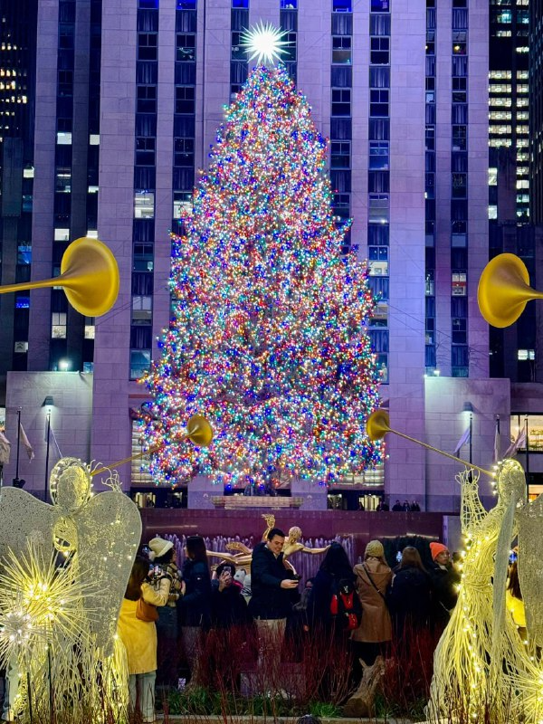 sayedfarag811's tweet photo. Let the lights of Christmas guide you to happiness, the songs bring you cheer, and the spirit of the season fill your heart. Wishing you an advance Merry Christmas! 🎅🌟🎄 https://t.co/iUsLXHPU2o