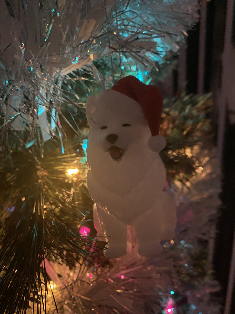 THIS IS DIVA🎀. THEY TURN’D ME INTO A CHRIS MOUSE ORMANENT