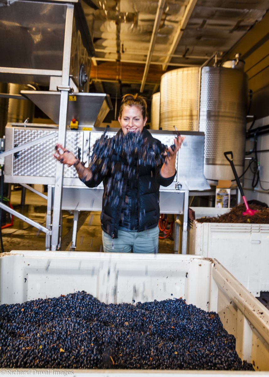 Marji Morgan (@linesonwines) on Twitter photo Mari Womack’s Damsel Cellars for awesome Syrah and Rhone style wines generally. Special treat for Greek Mythology lovers too!! Interview with Mari here: linesonwines.com/blog/2024/12/1… <a href="/WINESofWA/">WINES of WASHINGTON</a> <a href="/Wa_State_Wine/">Washington Wine</a> <a href="/nwwinereport/">Sean P. Sullivan</a> <a href="/WineWoodinville/">Woodinville/WWC</a> Mari Womack’s Damsel Cellars for awesome Syrah and Rhone style wines generally. Special treat for Greek Mythology lovers too!! Interview with Mari here: linesonwines.com/blog/2024/12/1… <a href="/WINESofWA/">WINES of WASHINGTON</a> <a href="/Wa_State_Wine/">Washington Wine</a> <a href="/nwwinereport/">Sean P. Sullivan</a> <a href="/WineWoodinville/">Woodinville/WWC</a>
