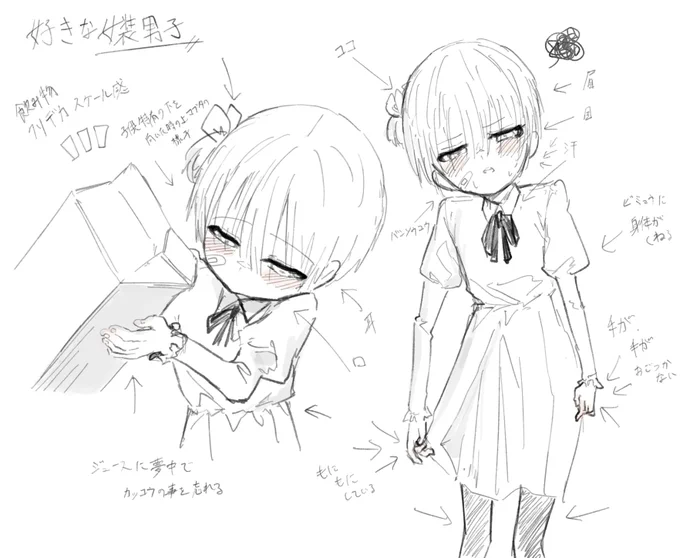 私の好きな女装男子 