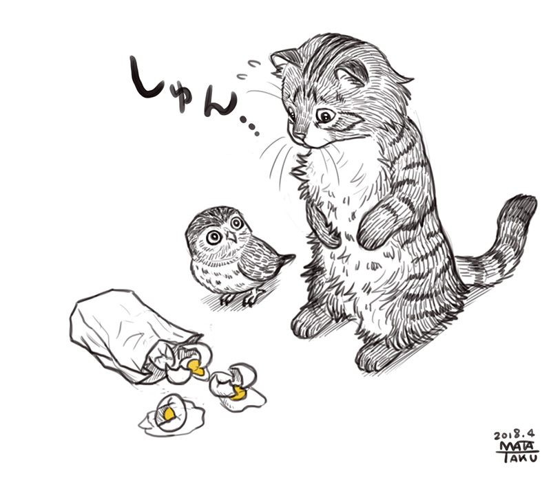 猫フク 一コマ集 をpixivに投稿しました😄🐱🦉

全部で20枚の投稿になりましたのでご興味のある方はpixivの方でご覧ください

https://t.co/KcQoESyPhx 