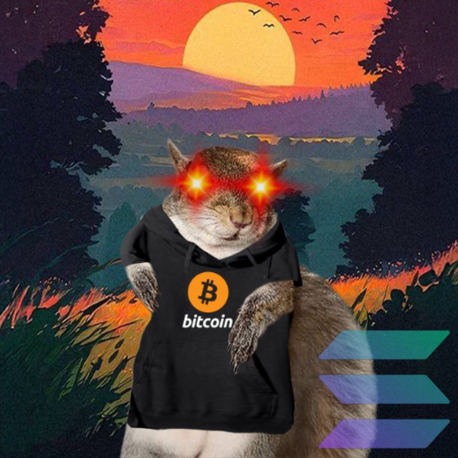 Sugar on Solana or SUGAR•BUSH•ON•CHAIN on Bitcoin?