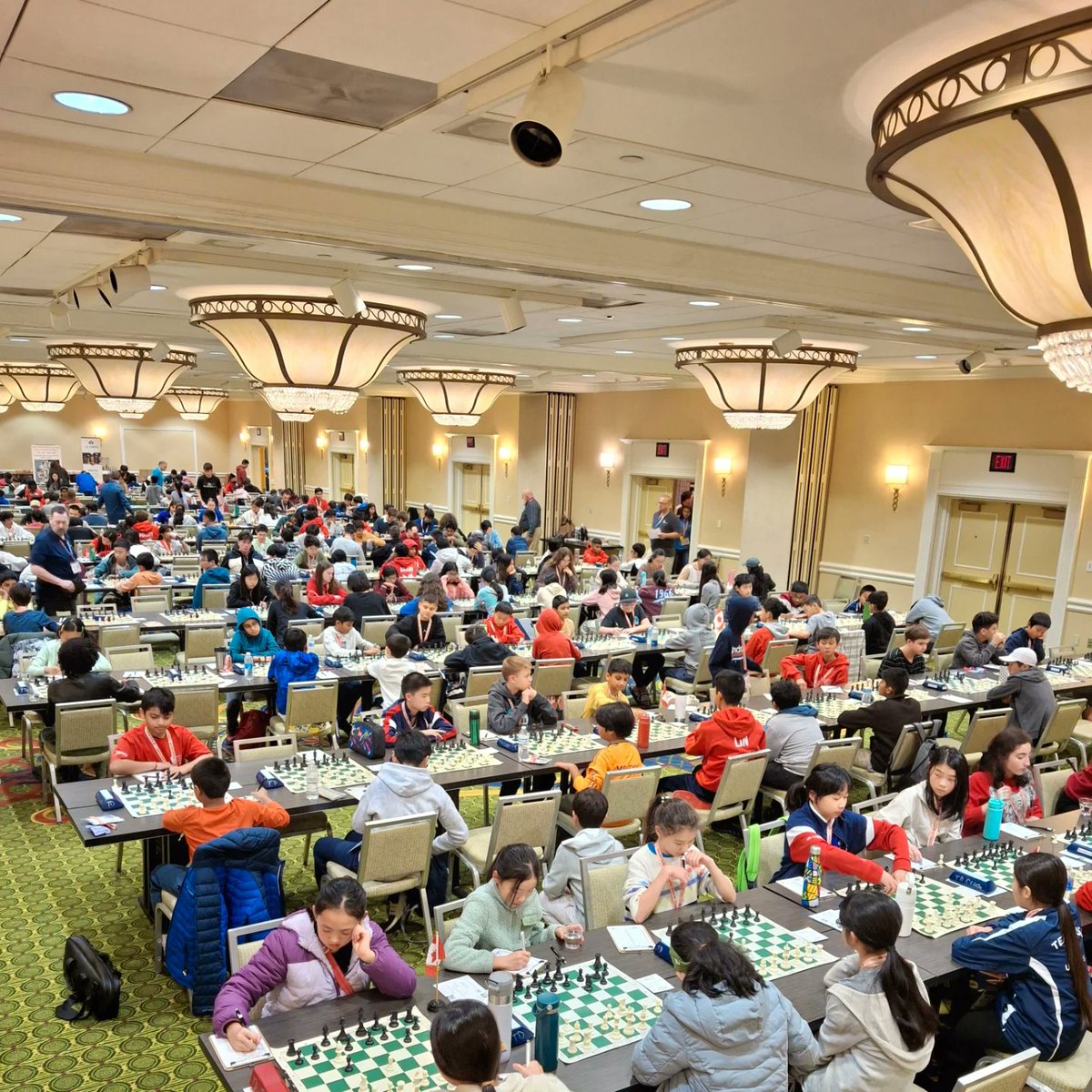 juliorosadochess tweet media