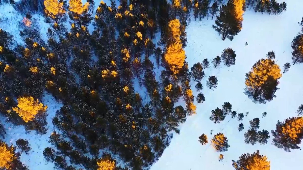 梦幻鄂温克 冰雪绘丹青