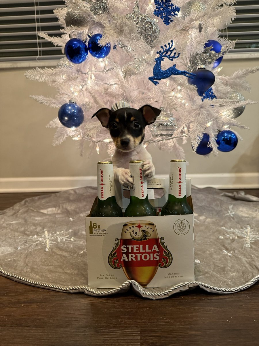 TheReal_Corey_D's tweet photo. Introducing the newest member of our family - meet Stella Sue! https://t.co/b1aqt5Wo4X