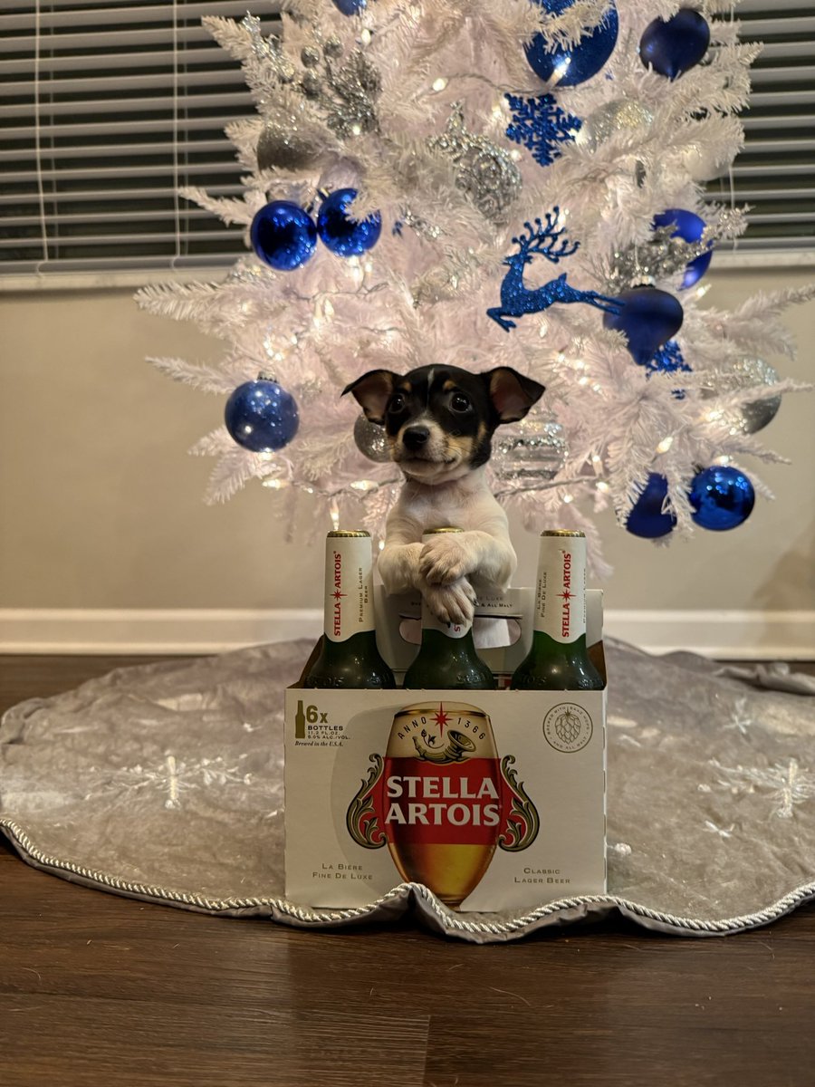 TheReal_Corey_D's tweet photo. Introducing the newest member of our family - meet Stella Sue! https://t.co/b1aqt5Wo4X