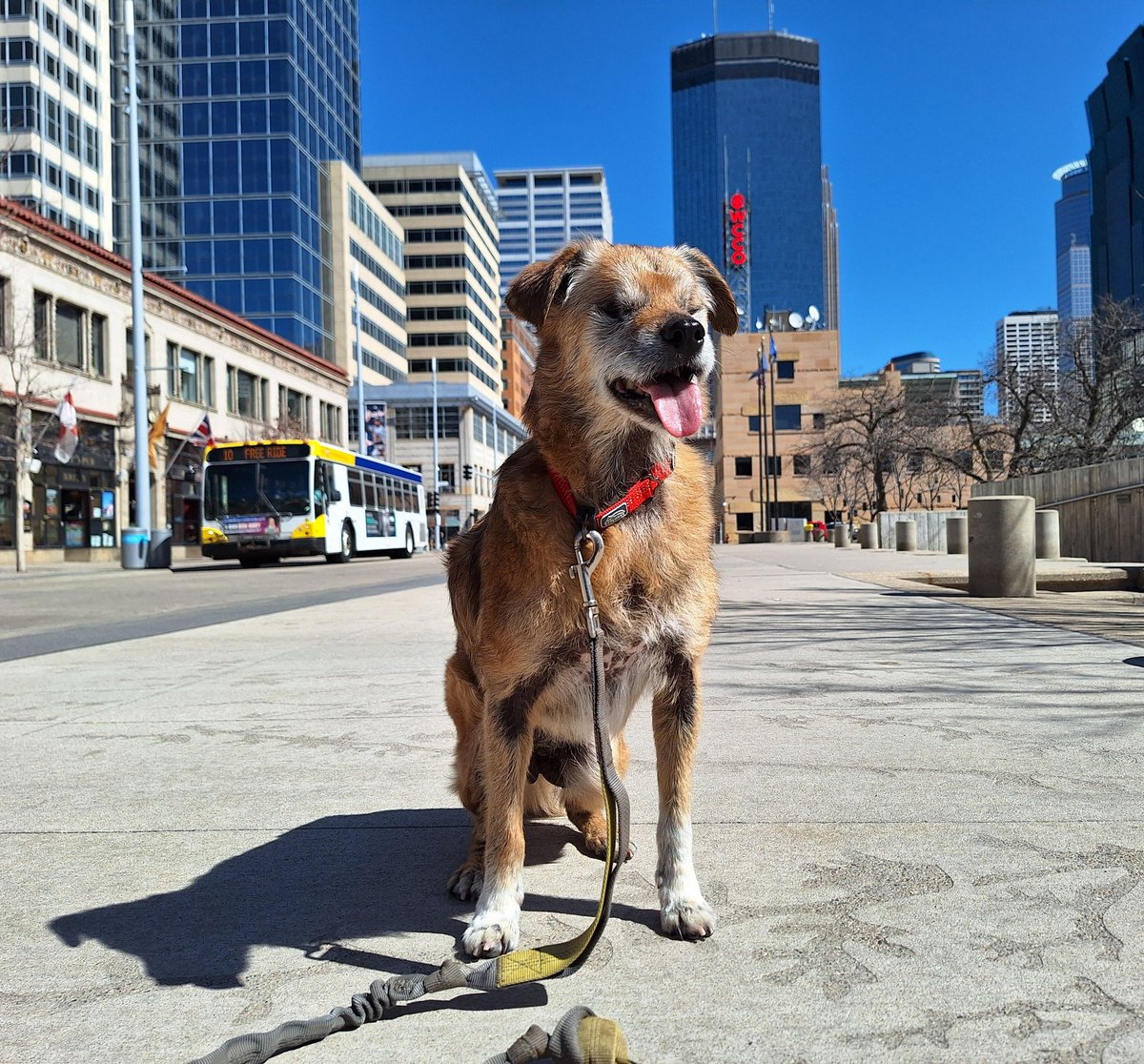 MrPuckett tweet media