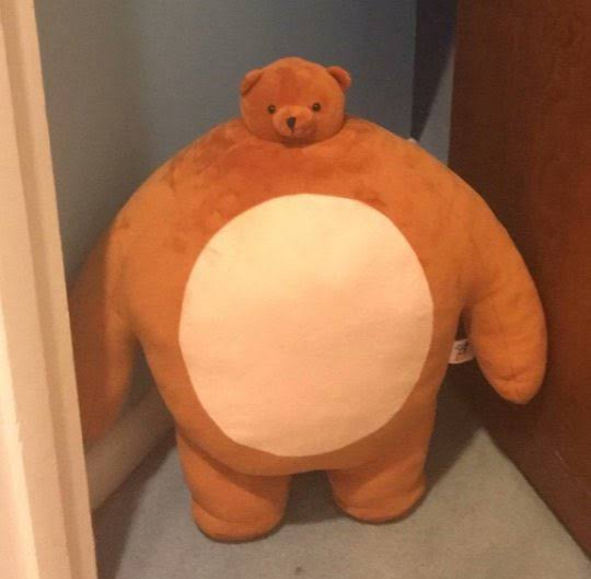 he looks like this bear