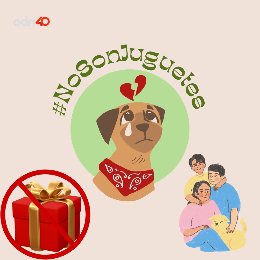 adnnoticiasmx's tweet photo. 🎄 En esta época navideña, recuerda que los animales #NoSonJuguetes; si vas a adoptar a un perrito, gatito o cualquier animal doméstico toma en cuenta que es una responsabilidad de por vida 💓 https://t.co/M6ncQfqzxe