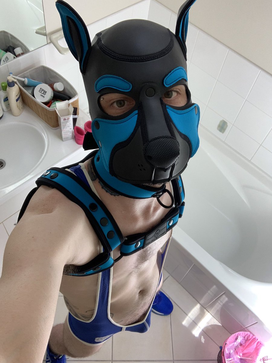 PupSnowy🐶❄️ tweet media