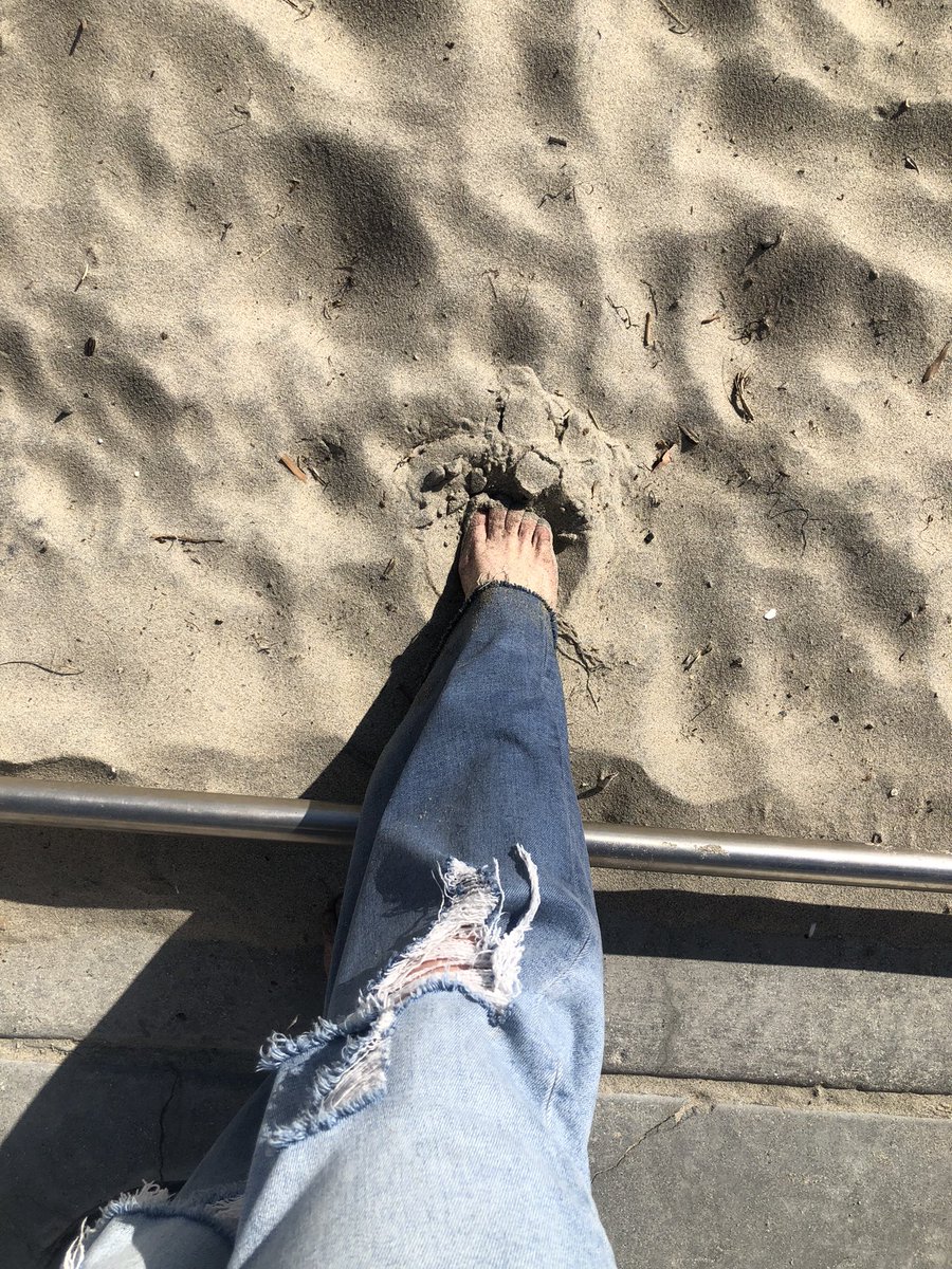 Goddess_Sunshyn's tweet photo. My cashapp is feeling lonely. #feet #toes #goddess #empress #sunshine #sugarbaby #paypig #cashcow #spoilme #brat https://t.co/ex9rX55GDh