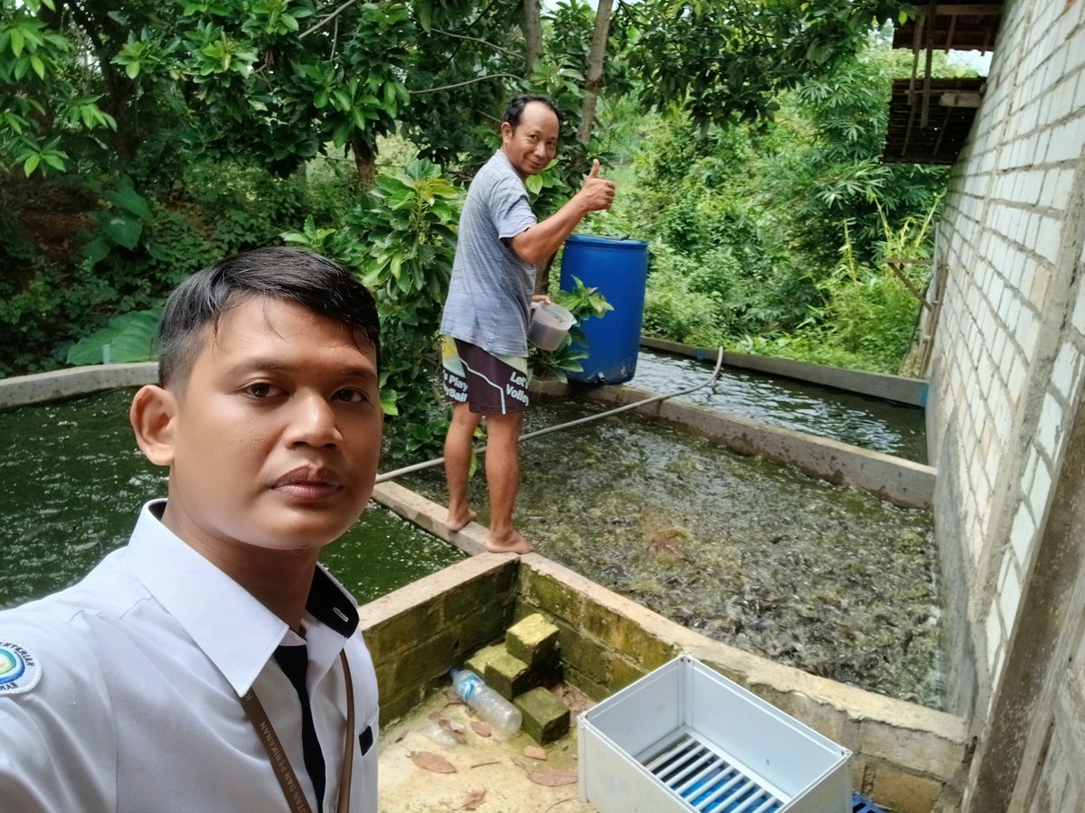 Firman_discuss's tweet photo. Selasa(10/12/24) Luhkan Blora Muhammad Firman melaksanakan anjangsana(pendataan produksi) budidaya Ikan lele di Pokdakan Kedung Mulyo Ds.Kedungbancin Kec.Todanan, Total produksi per siklus 500 kg, harga jual 19rb/kg
#luhlapor
#Giatluhkansatminkaltegal https://t.co/j9la3X3IaH