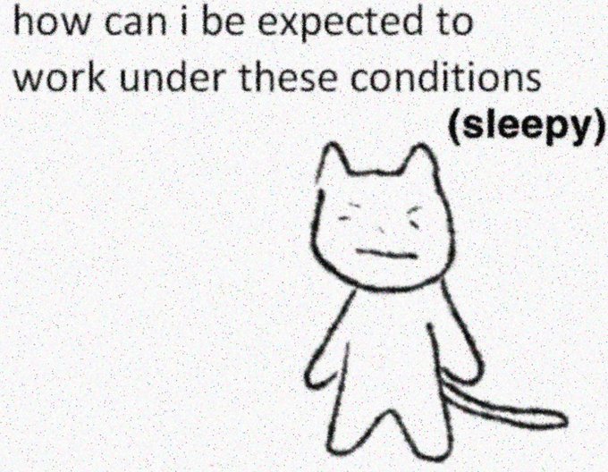 PunchingCat's tweet photo. real https://t.co/p2LAYXyteW
