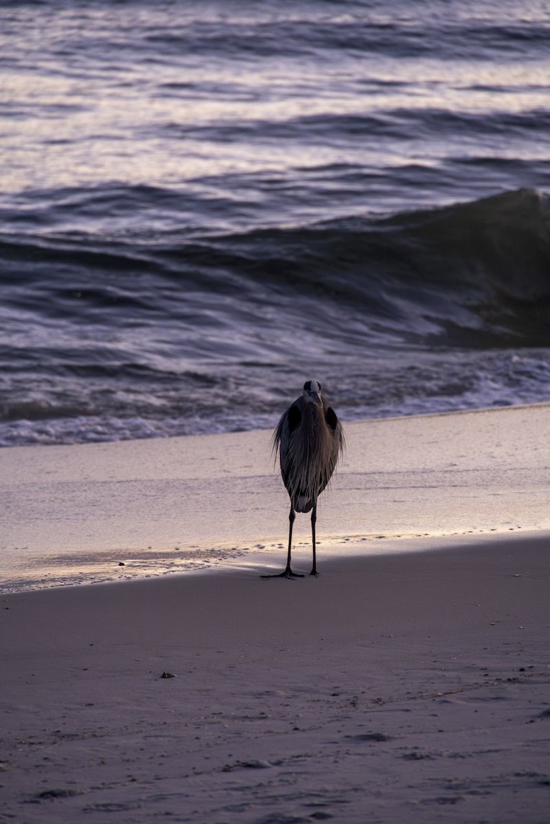 Parks and Points tweet media