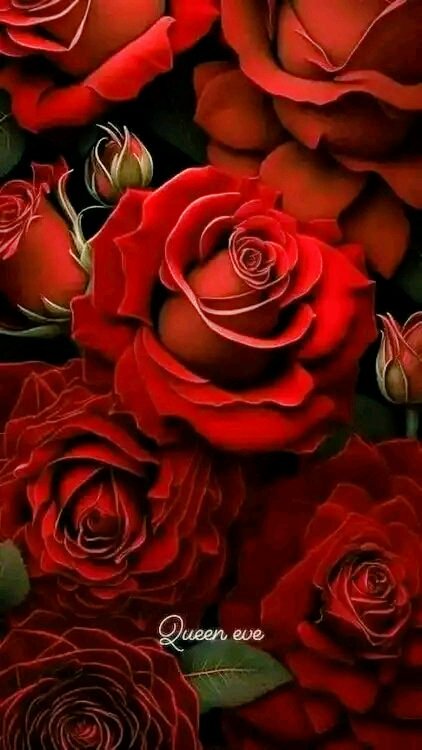 ismailsalim546's tweet photo. @lylhlylh2
صباح الفل و الورد 
و الياسمين ليله 
صباح مملوء بالخير و البركه https://t.co/1yK7IAC0D3