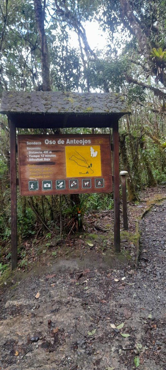 Cami1147557's tweet photo. El Parque Nacional Podocarpus es un santuario de flora y fauna única en el mundo.🦜🌼 ¿Sabías que alberga cientos de especies de aves y orquídeas? 👀¡Explora sus senderos y enamórate de la naturaleza!🍀👏
#Ecuador #Naturaleza #Podocarpus https://t.co/EnBswazAgr