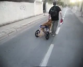 Venatrix Funesta tweet media