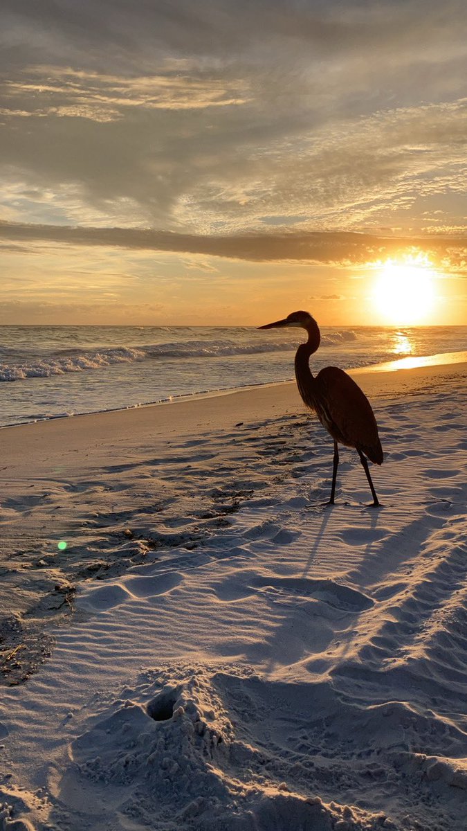 Coach Baynes tweet media