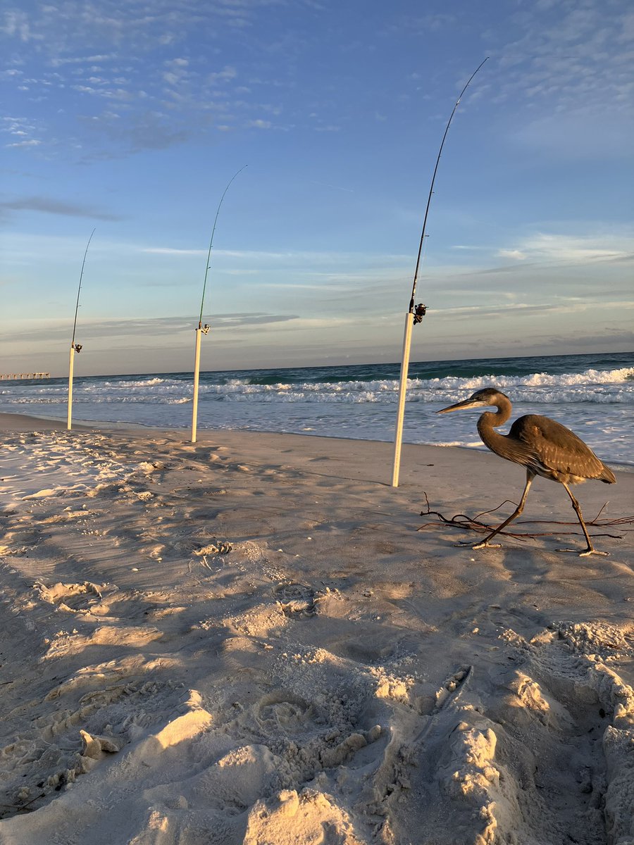 Coach Baynes tweet media