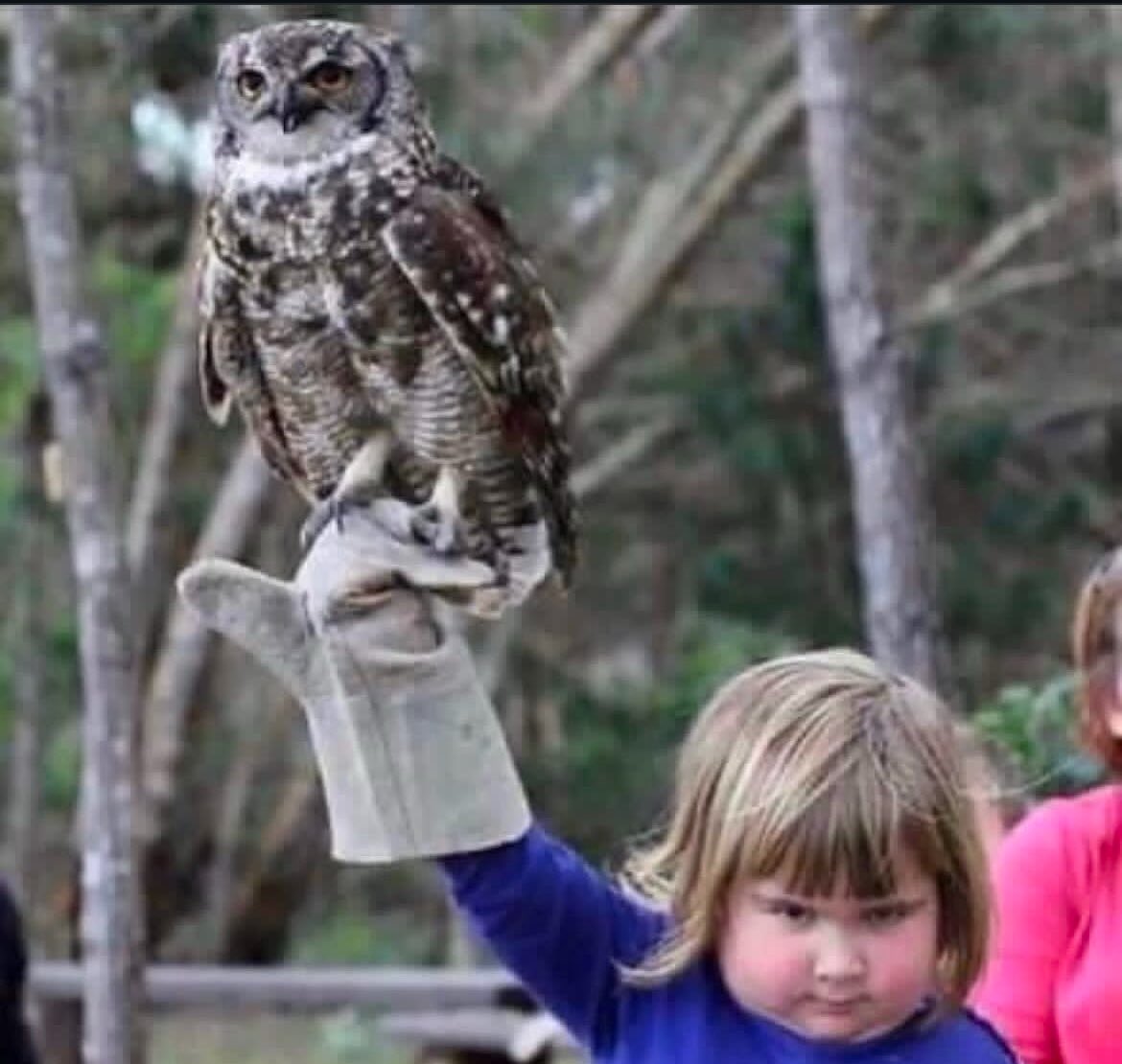 KevinNegandhi's tweet photo. 🦉 @TUMBBHoops https://t.co/y7zlLXjaD8