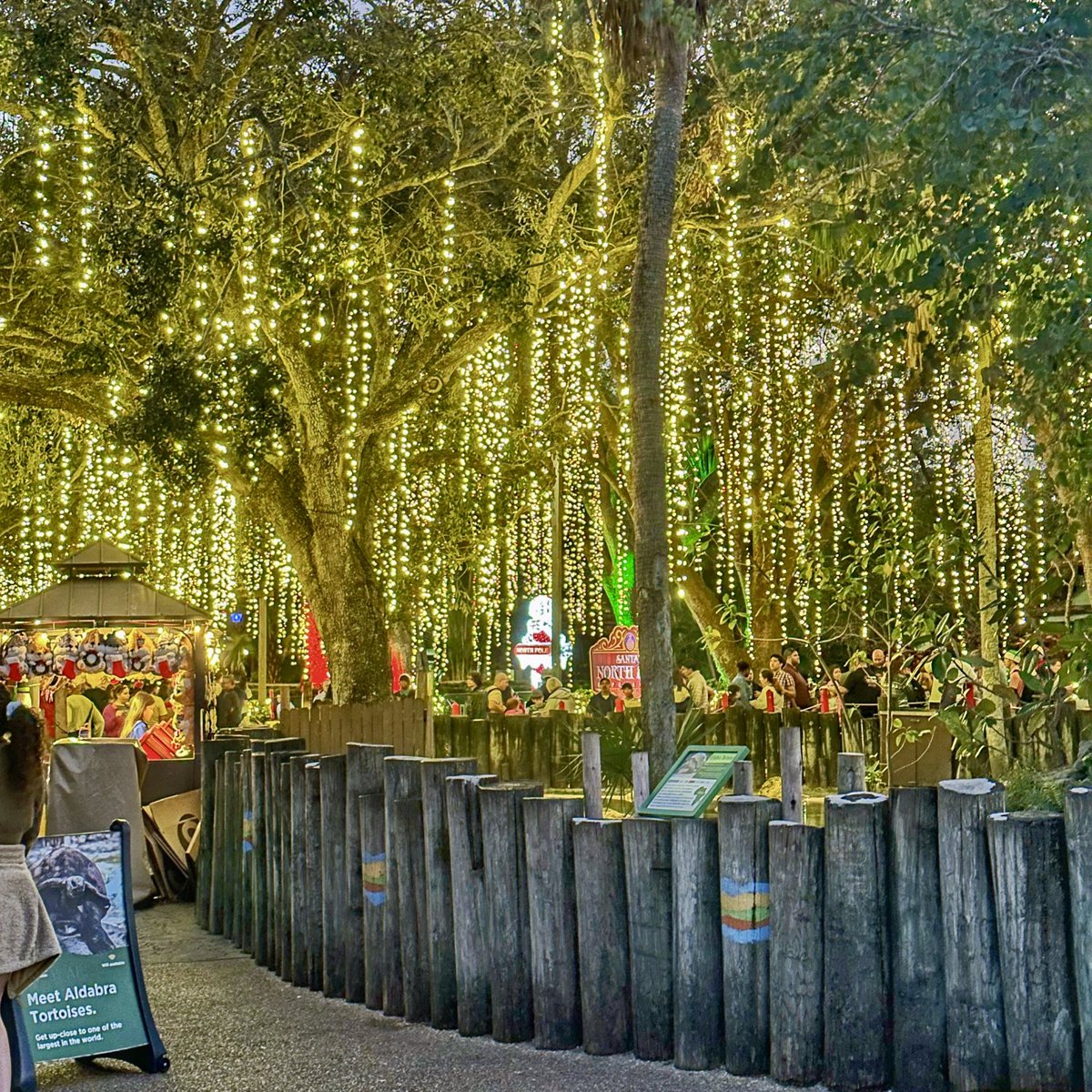 TuckBeck's tweet photo. I always love how lights shine so bright, at @BuschGardens as they celebrate Christmastown at night. ✨❤️✨
.
#BuschGardensBlogger #Christmas
#Tampa #BuschGardensBucketList
#BuschGardens #Christmastown
#BuschGardensChristmastown
#BuschGardensTampaBay 💚 https://t.co/ruW8MGKTkk