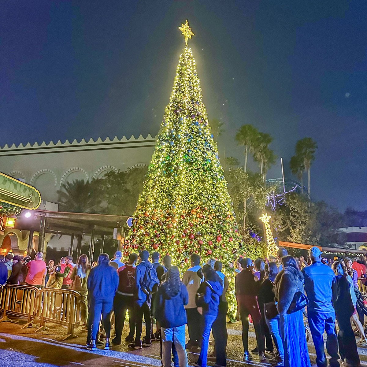 TuckBeck's tweet photo. I always love how lights shine so bright, at @BuschGardens as they celebrate Christmastown at night. ✨❤️✨
.
#BuschGardensBlogger #Christmas
#Tampa #BuschGardensBucketList
#BuschGardens #Christmastown
#BuschGardensChristmastown
#BuschGardensTampaBay 💚 https://t.co/ruW8MGKTkk