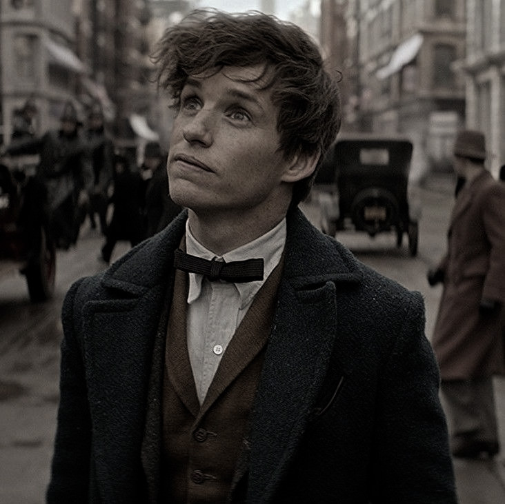 ihpsquad's tweet photo. ━━━  Newt Scamander. https://t.co/dZmiiyI9c4