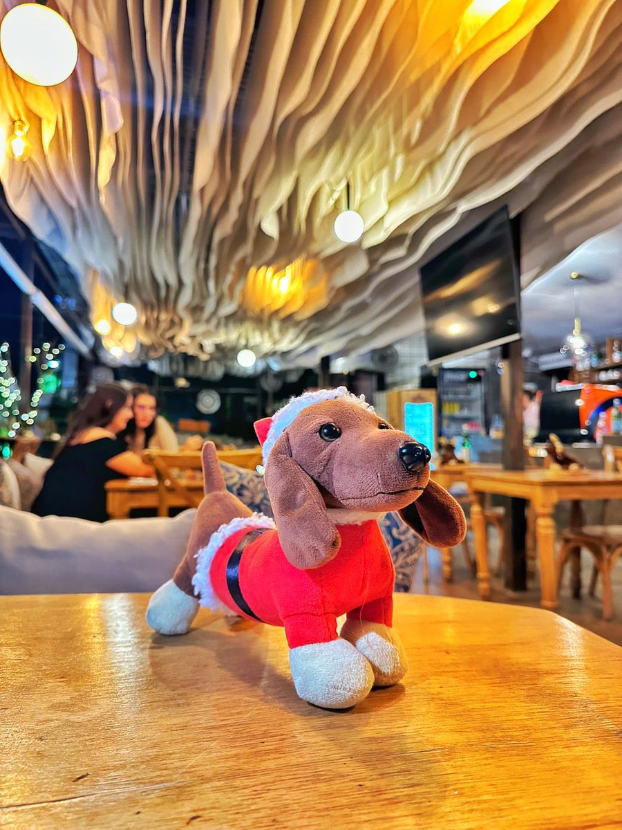 lulogab's tweet photo. Yingolbels🤩🥰🎄 https://t.co/3pDXDOnG03