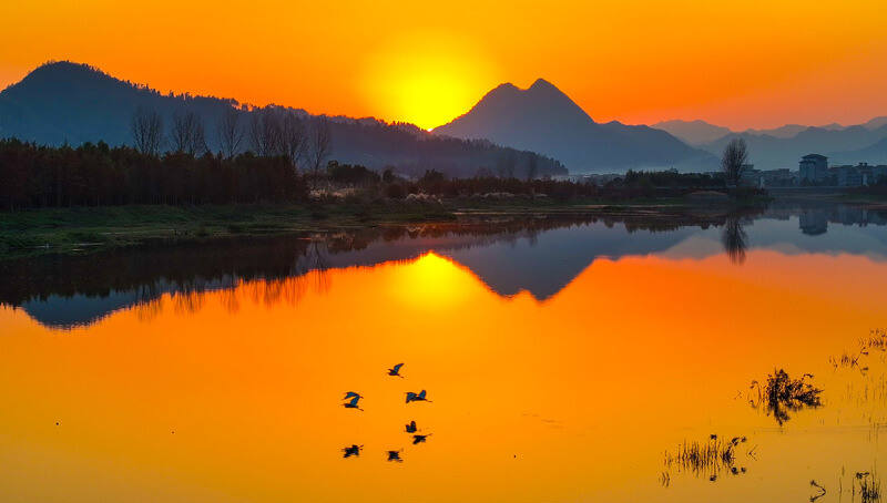 _NiceYa_'s tweet photo. 🍂🌞In early winter, the 400-acre "Water Forest" in Hongxing Village, Chun'an, lights up under the warm winter sun, showcasing vibrant hues that look like a painter's palette. #WaterForest #ChunAn #AutumnBeauty https://t.co/WJGfgXFXvw