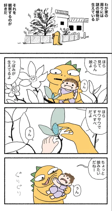 1/4 