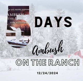 Almost here!
5-Star Review: "This book has you turning the pages to see what else will happen...so much suspense, even to the last few pages. This was well written with wonderful characters, action-packed, and inspirational. I highly recommend this book."
 books2read.com/u/bwAqlZ