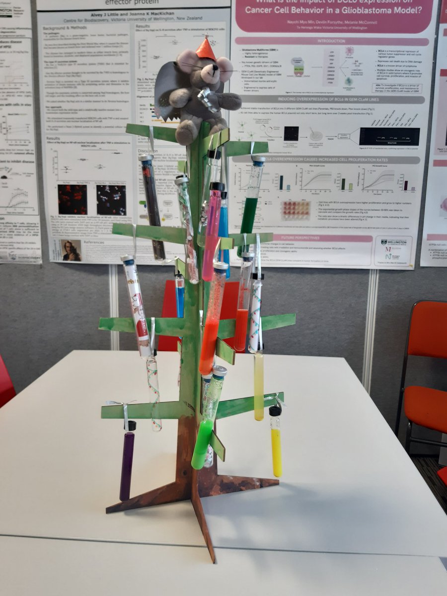 MmcScience's tweet image. Meri Kirihimete! After I accidentally threw away all the lab Christmas decorations earlier in tbe year, the team had to improvise. Test tubes with colored liquids is totally festive 🎄🥂🥳