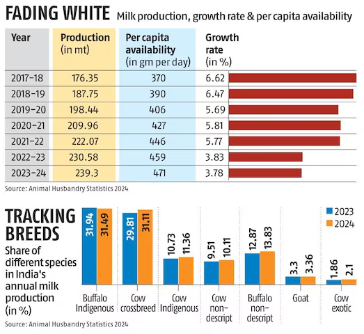 bsindia's tweet image. #Take2WithBS | #India's #milkproduction growth has slowed to 3.78% in FY24, down from 6.62% in FY18. The country’s milk output reached 239.3 mn tonnes, but a decline in buffalo milk production and low per-animal yields raise alarms. Factors such as small herd sizes, rising costs,