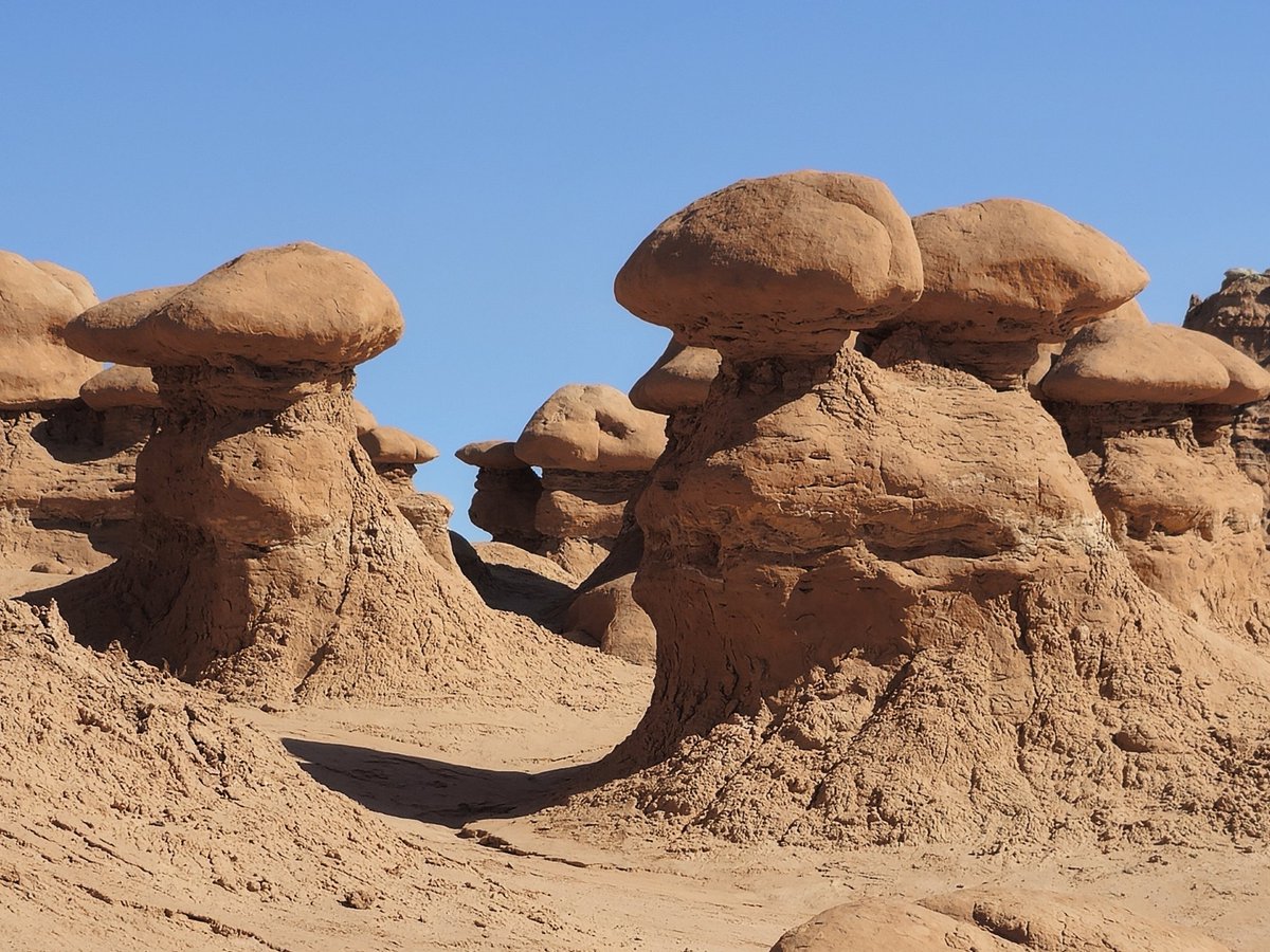 David Anderson tweet media