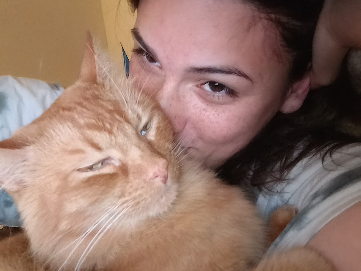 alan_the_trapp's tweet photo. Pumpkin photo dump 
Love my little babyyy https://t.co/rvzUbl87CS
