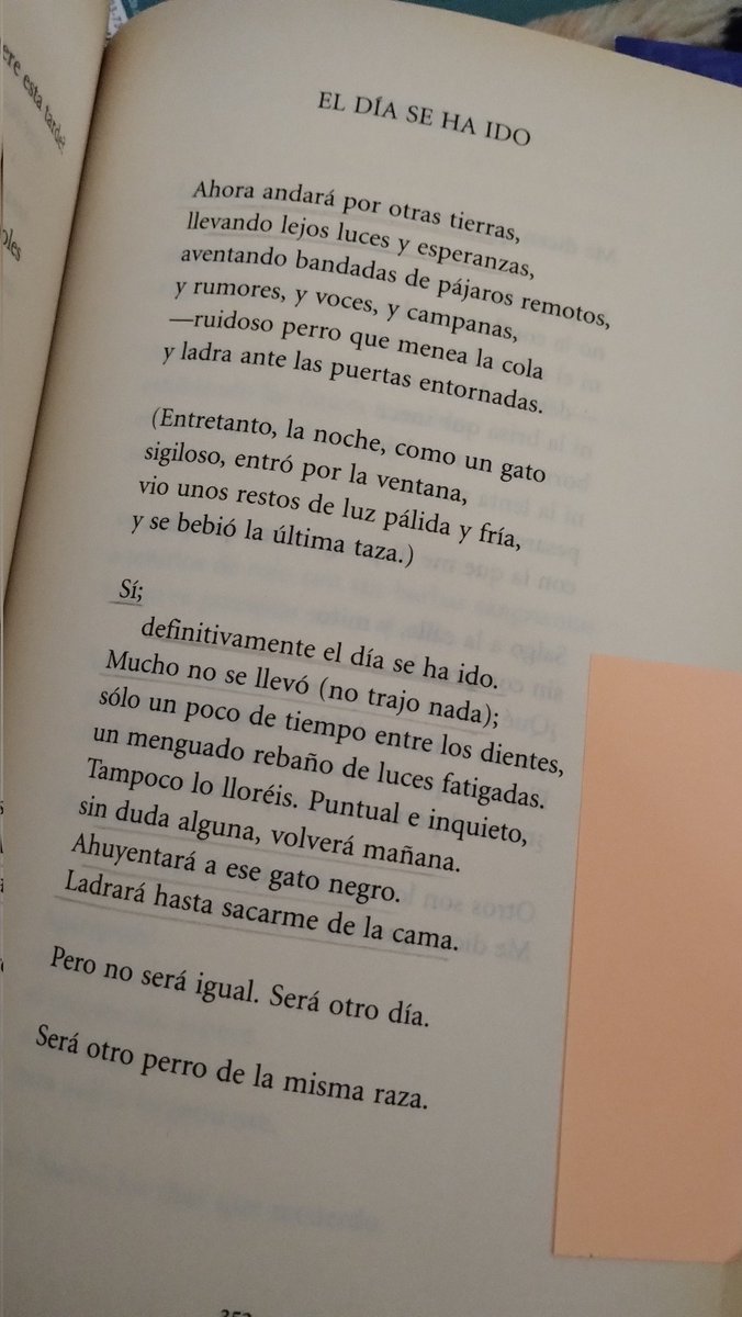 Joan Margarit 
Diciembre 
Sí, definitivamente el día se ha ido, el año se está yendo...
