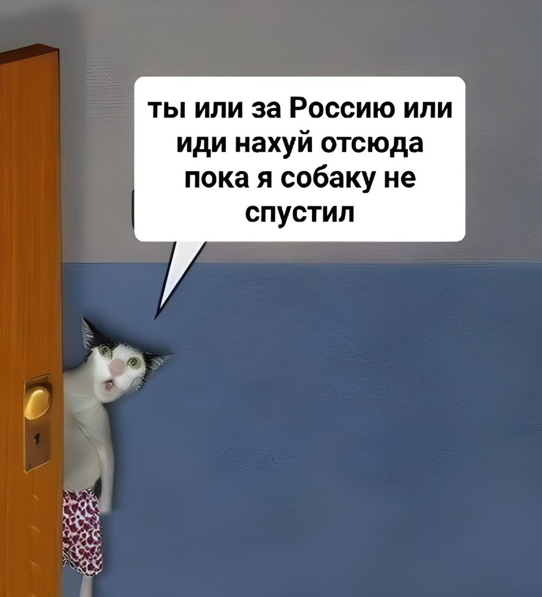 1GIX1's tweet photo. https://t.co/jSSoiLSt55