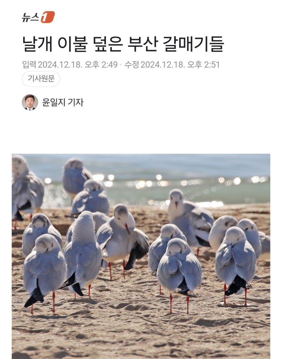 힐링짤모으는곳 tweet media