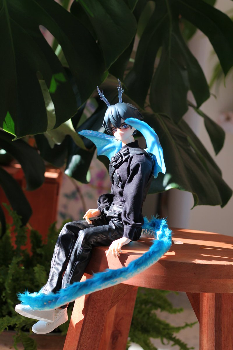 윙박스 ( Wing box ) 🕊 tweet media