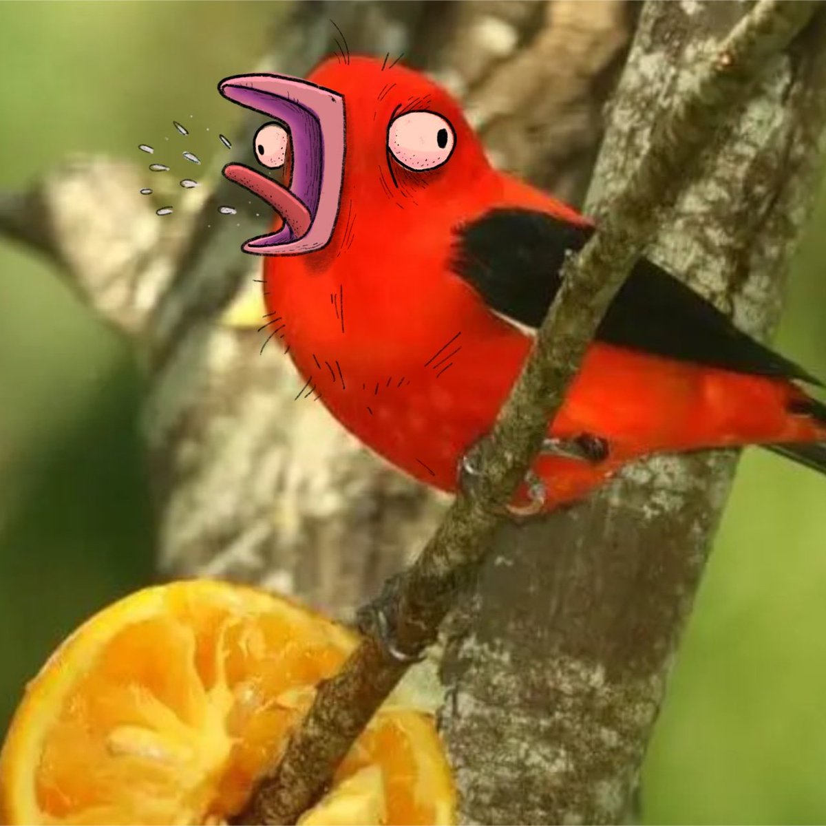 ᗷ∈ᖇᑲ𝘭Ꭵﬡ⟆ tweet media