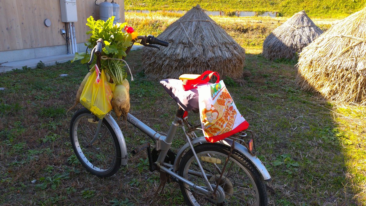 yoomini7's tweet photo. 🍞パンどろぼう&amp;小田掛け大根bike🥬 https://t.co/upz8pFQuSw