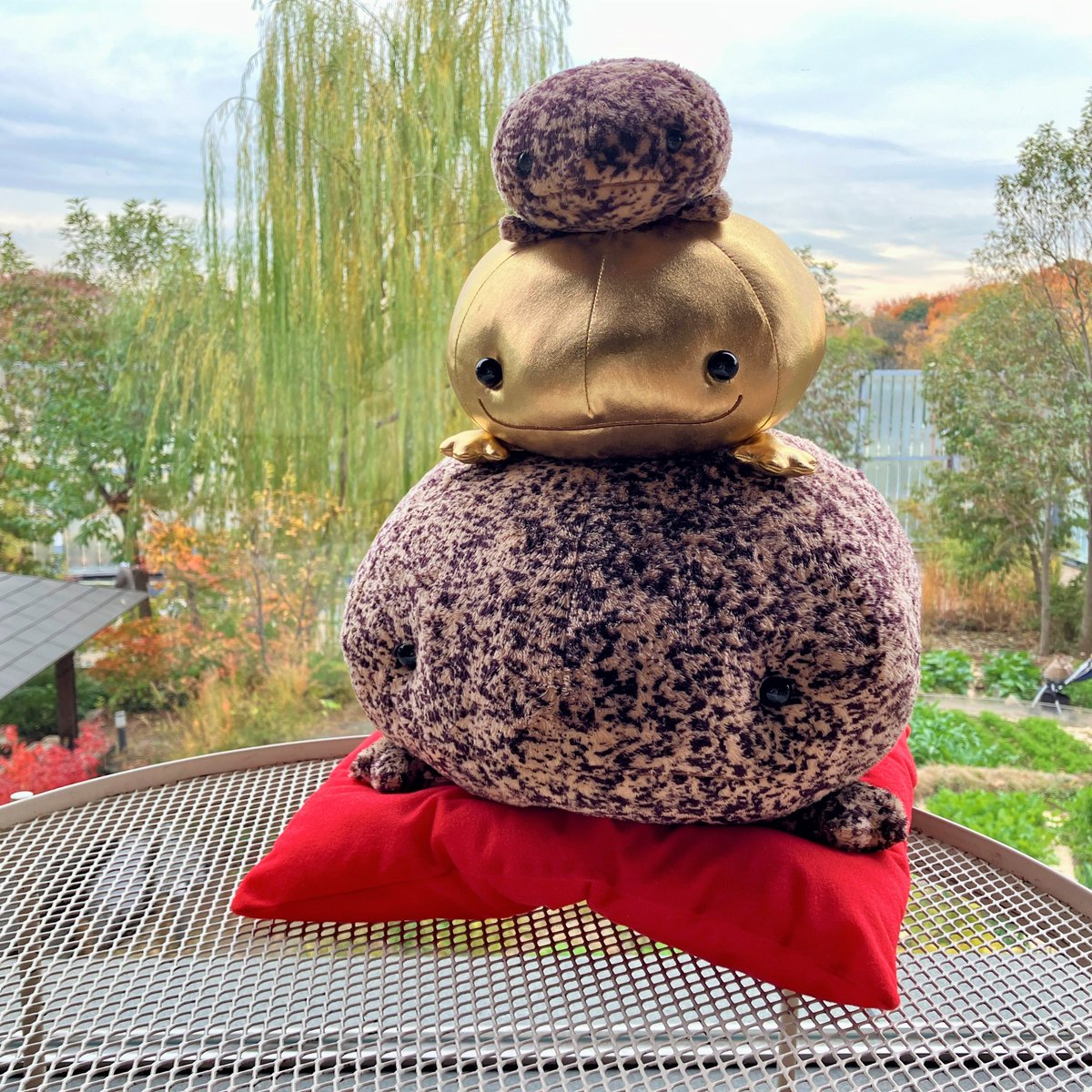 数量限定で販売中// ✨金のオオサンショウウオ鏡餅✨ 昨年も大人気