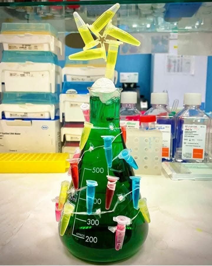 Microbichos's tweet photo. La navidad llegó en el laboratorio https://t.co/0cxKMzlnut