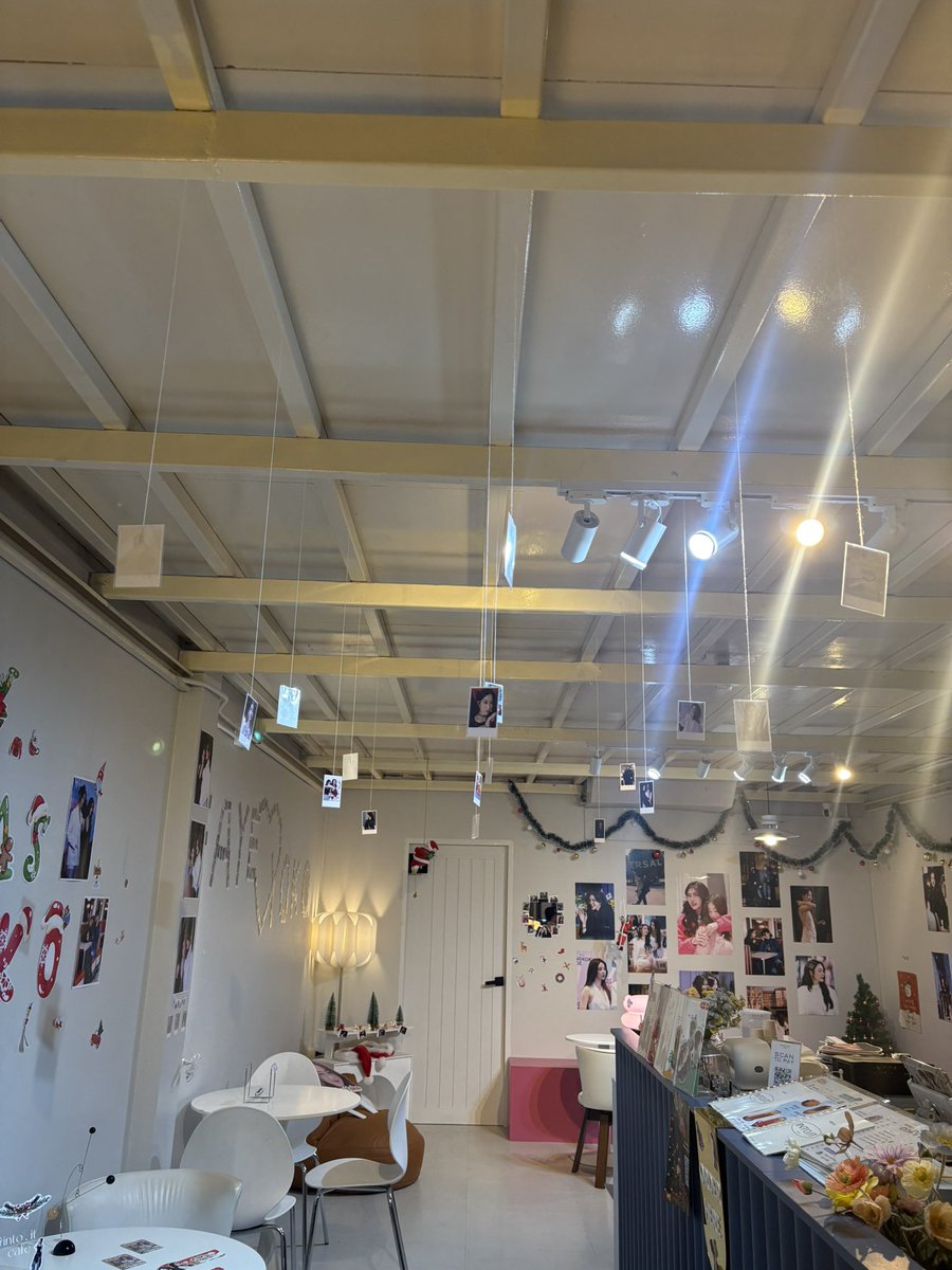 FairyBabe House tweet media